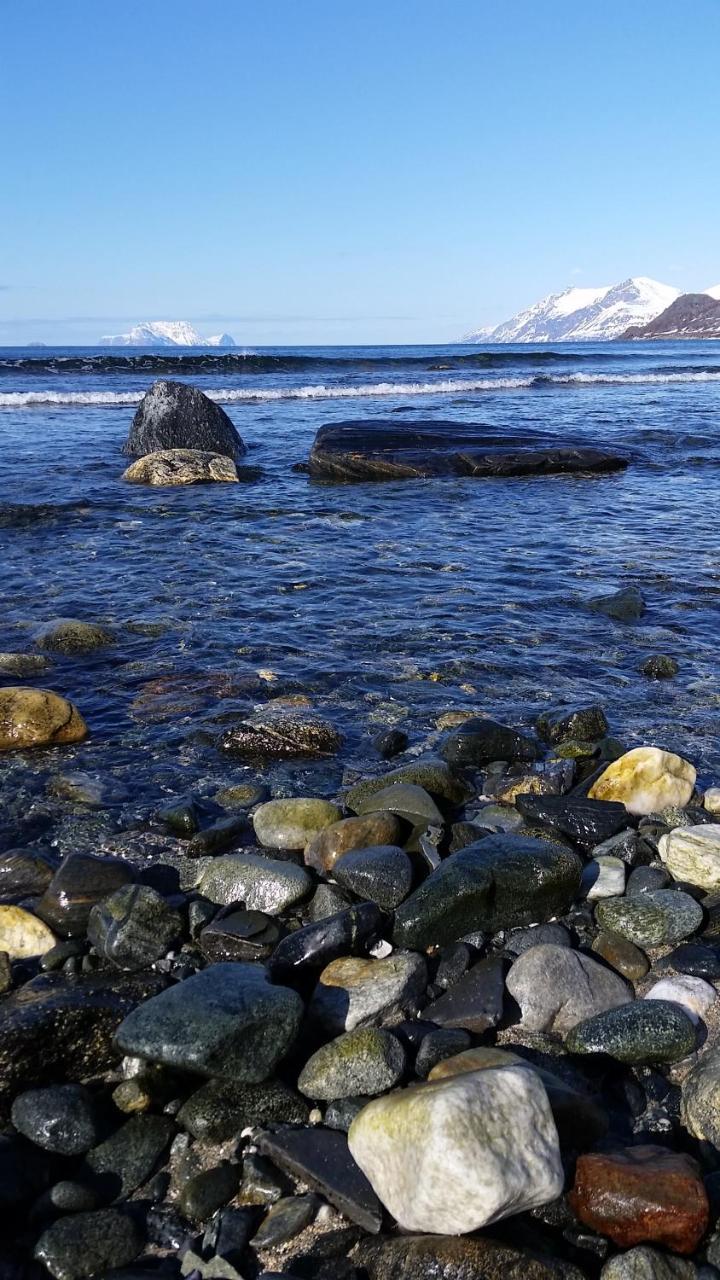 Nord-Lenangen Lyngen Fjordcampヴィラ エクステリア 写真